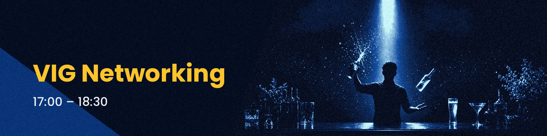VIG Networking Show Act, 17:00 – 18:30